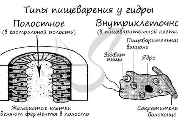 Ссылка на kraken торговая площадка