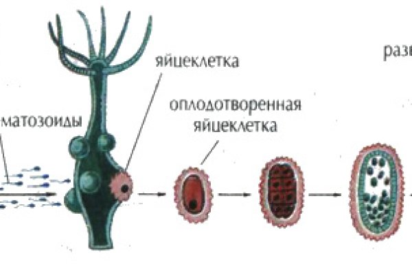 Найдется все kraken 2krn cc