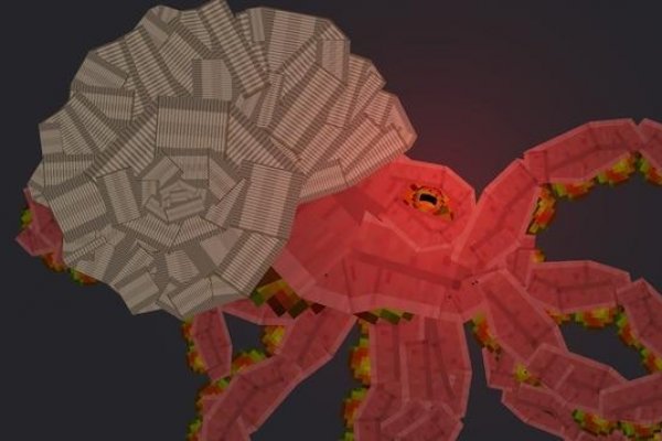 Kraken 18