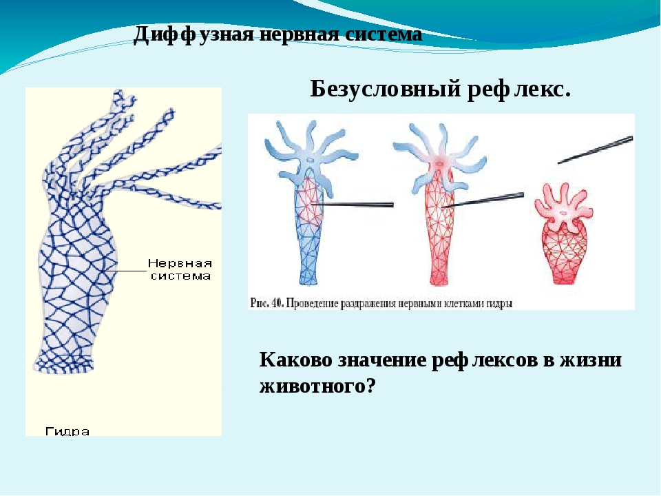 Что с кракеном сегодня сайт