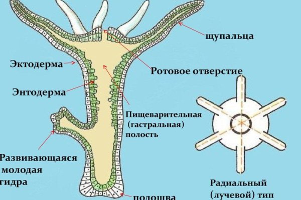 Как зарегистрироваться в кракен в россии