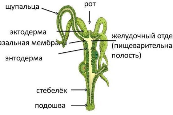 Kraken 14 at